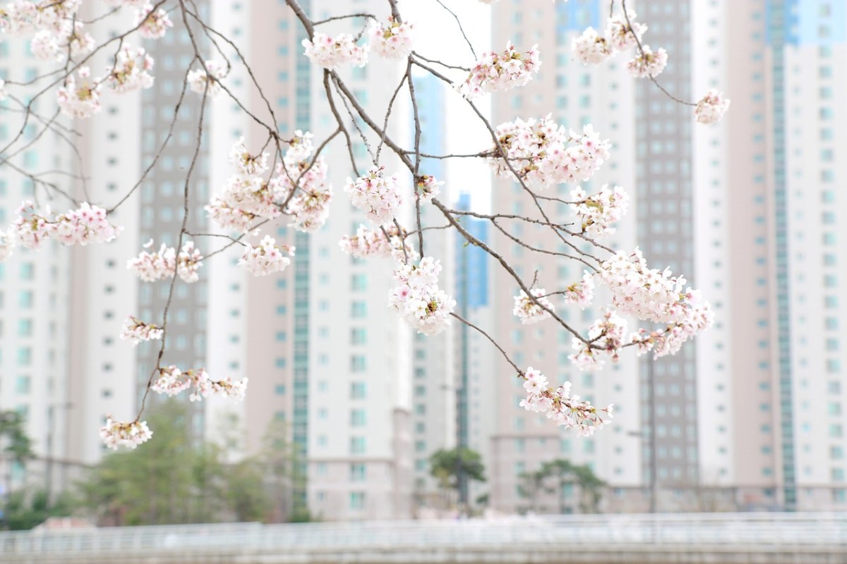 股票索赔•天夏智慧索赔条件